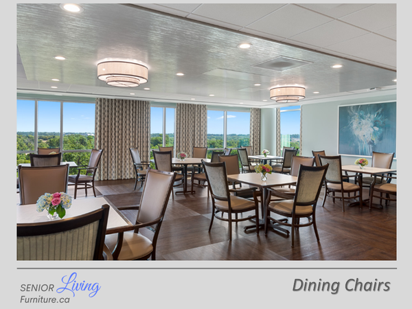 Dining Room Chairs